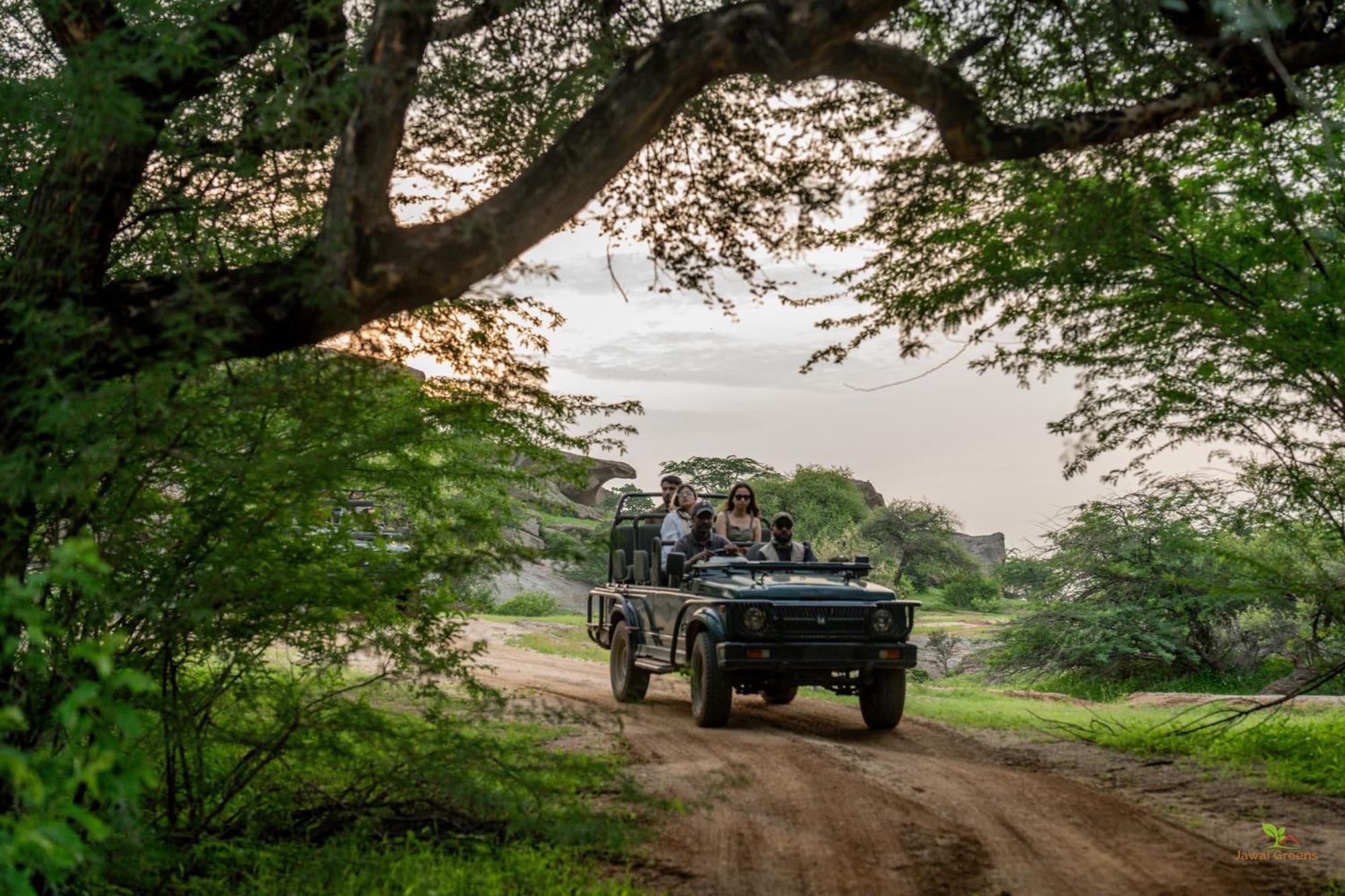 Jawai Greens Jawai Bandh Экстерьер фото